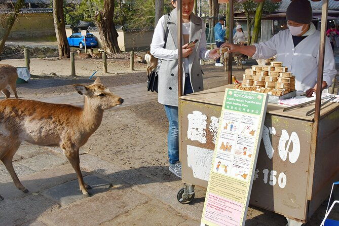 taste-of-nara-a-guided-half-day-food-tour-tailored-to-your-taste