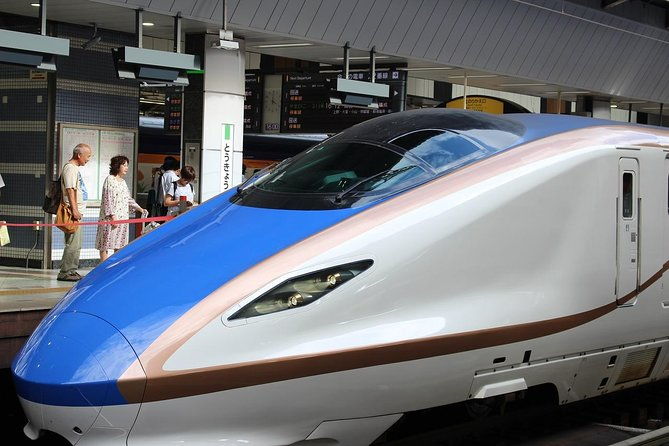 tokyo-history-tour-with-a-local-guide-private-tailored-to-your-interests