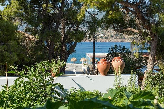 traditional-greek-cooking-class-and-organic-lunch-on-poros