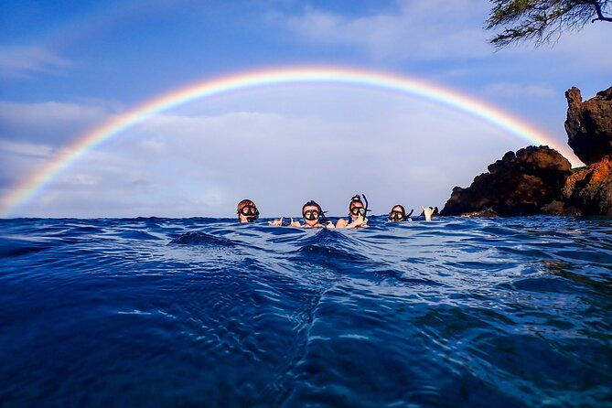 turtle-town-clear-kayak-snorkel-tour-11am-1pm
