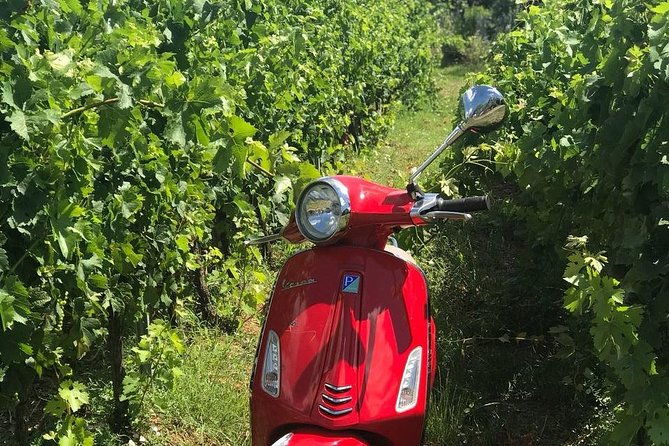 vespa-tour-with-lunchchianti-winery-from-siena