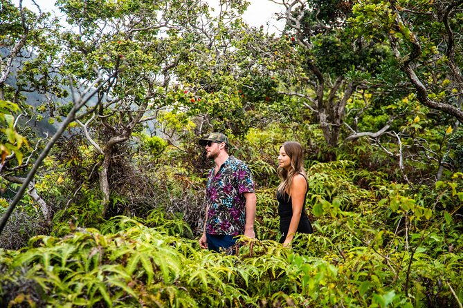 vip-private-road-to-hana-tour-with-pick-up