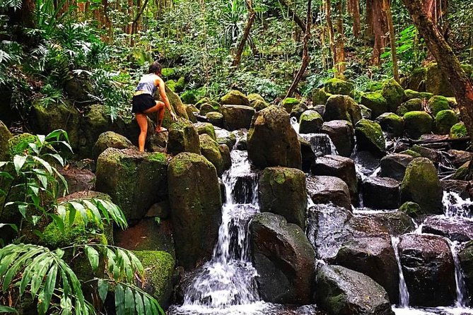 wailua-river-waterfalls-kayak-tour-expert-guided-adventure