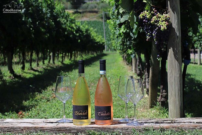 wine-and-food-tasting-in-the-vineyards-in-lazise