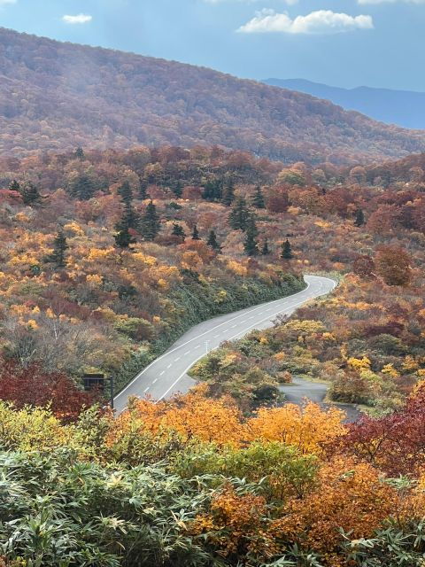 driving-support-in-akita