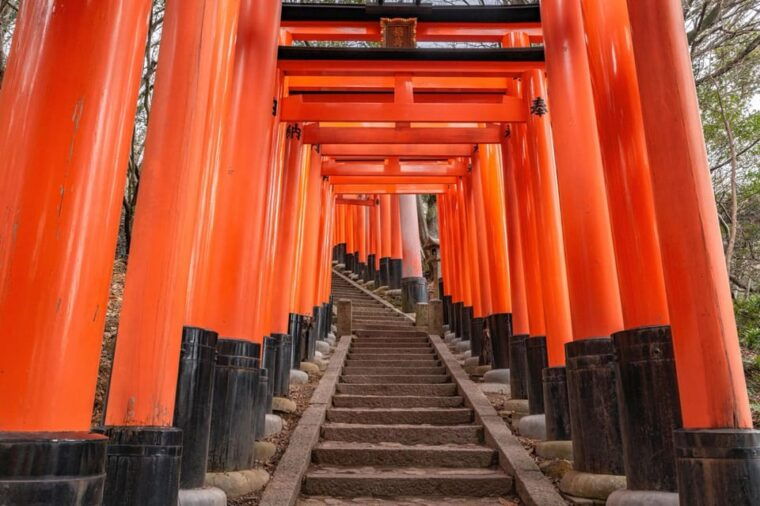 kyoto-best-of-the-city-in-one-day-tour-with-licensed-guide