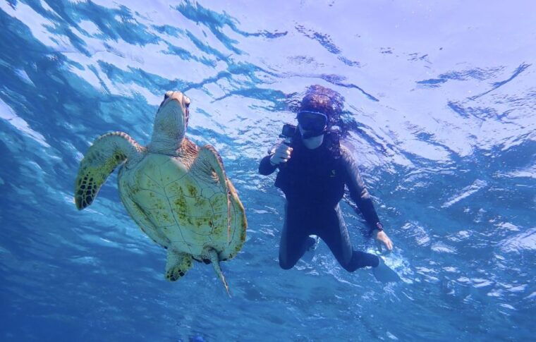 miyako-island-kayaking-and-snorkeling-experience