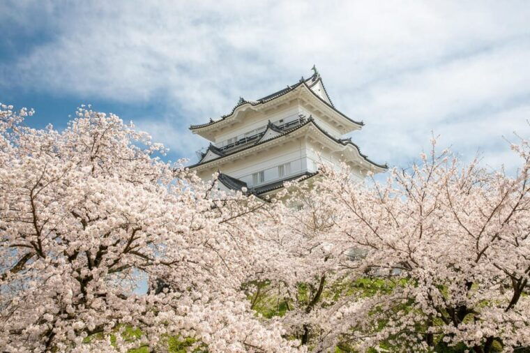 odawara-guided-ninja-samurai-tour-of-odawara-castle