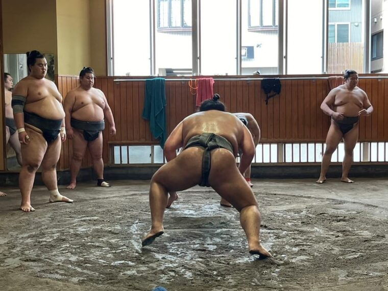 tokyo-visit-sumo-morning-practice-with-english-guide