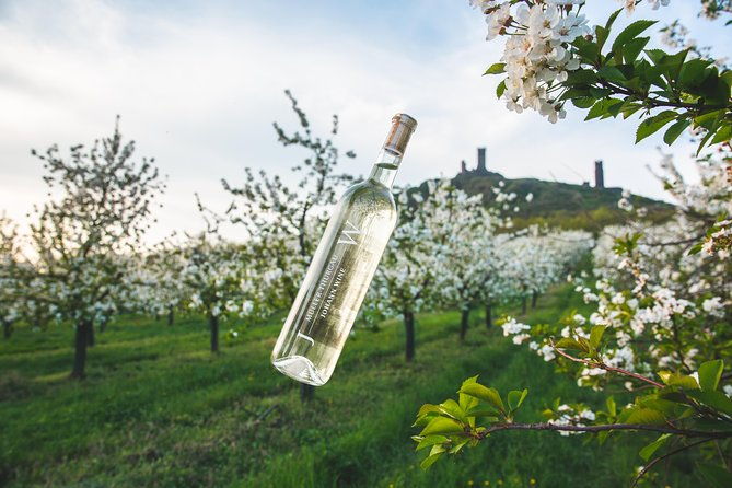 a-delightful-wine-tasting-in-the-scenic-countryside-with-lunch