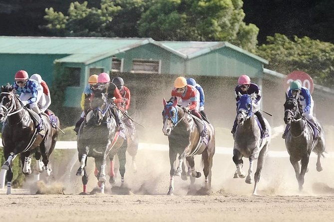 a-tour-to-enjoy-japanese-official-gambling-horse-racing-bicycle-racing-pachinko