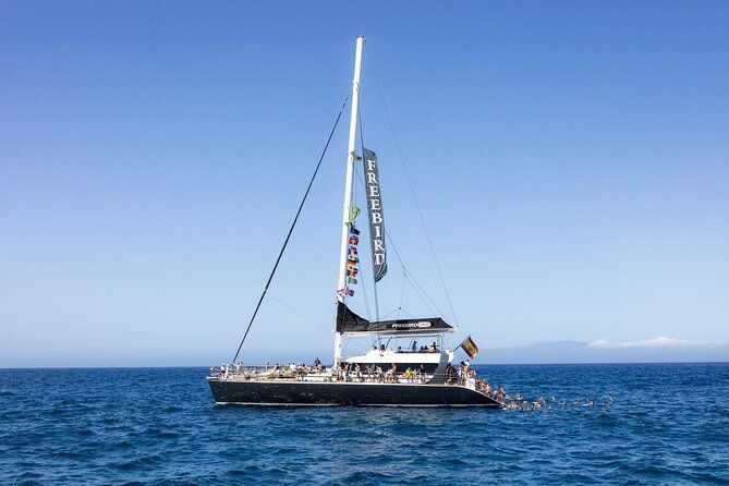 adults-only-tenerife-freebird-whale-dolphin-catamaran-with-lunch