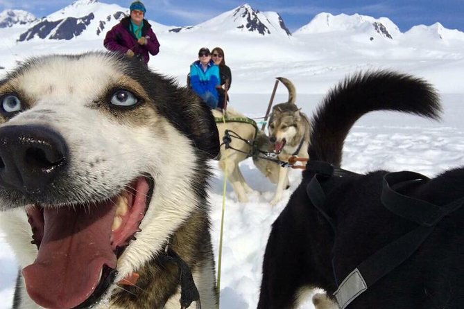 alaska-helicopter-and-glacier-dogsled-tour-anchorage-area