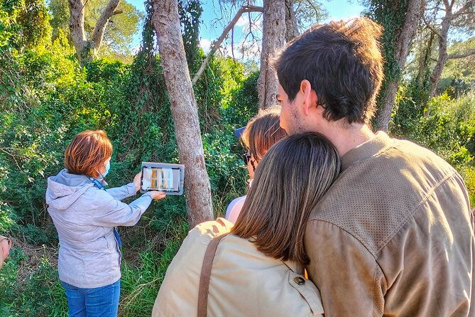 albufera-natural-park-tour-with-boat-ride-from-valencia