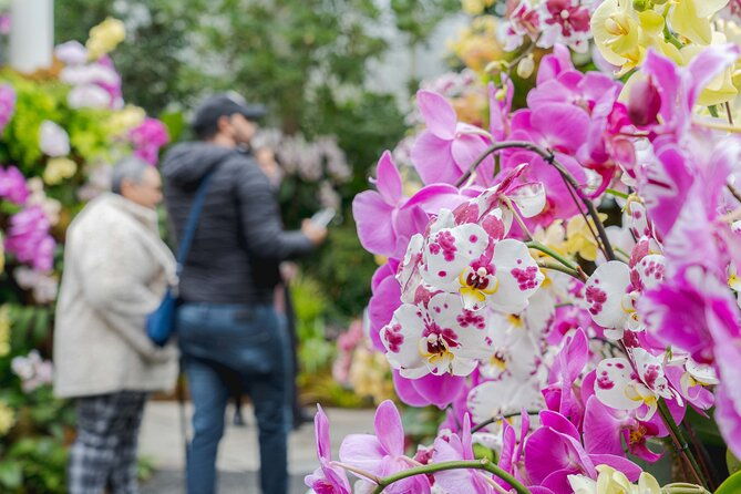 all-garden-pass-for-the-new-york-botanical-garden