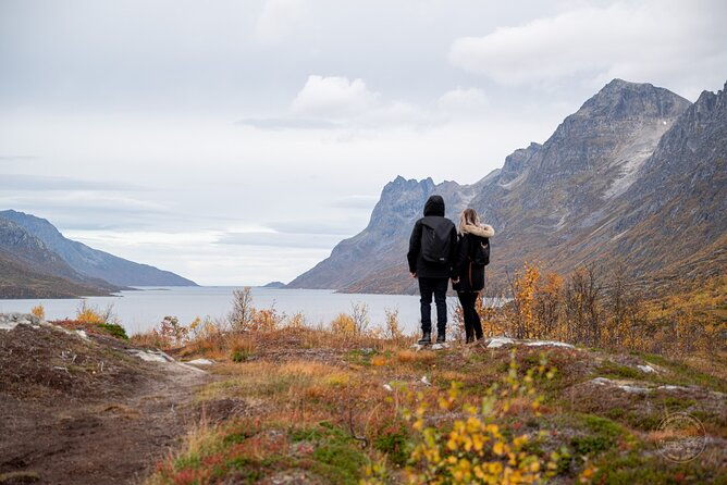 arctic-roadtrip-fjords-with-scenic-picnic-private