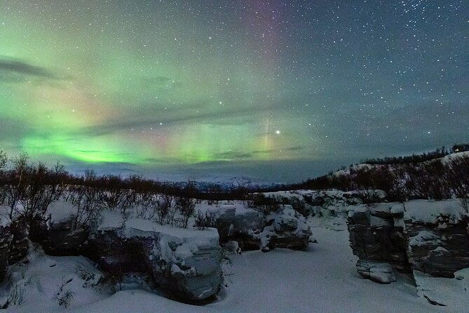 aurora-tour-with-dinner-in-abisko