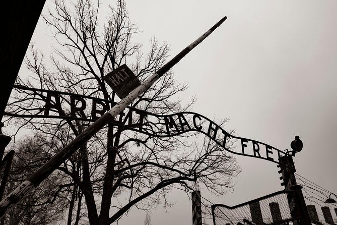 auschwitz-birkenau-and-wieliczka-salt-mine-day-tour-from-krakow-with-private-car