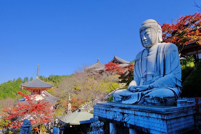 autumn-leaves-buddha-and-mt-yoshino-with-orange-picking-tour