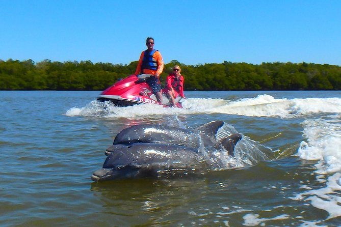 avis-premium-dolphin-tour-by-jet-ski