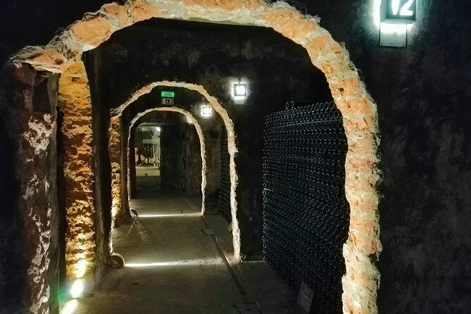 bairrada-winery-route-half-day-from-coimbra