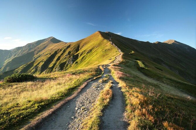 bearwatching-hiking-day-tour-in-high-tatras-from-poprad