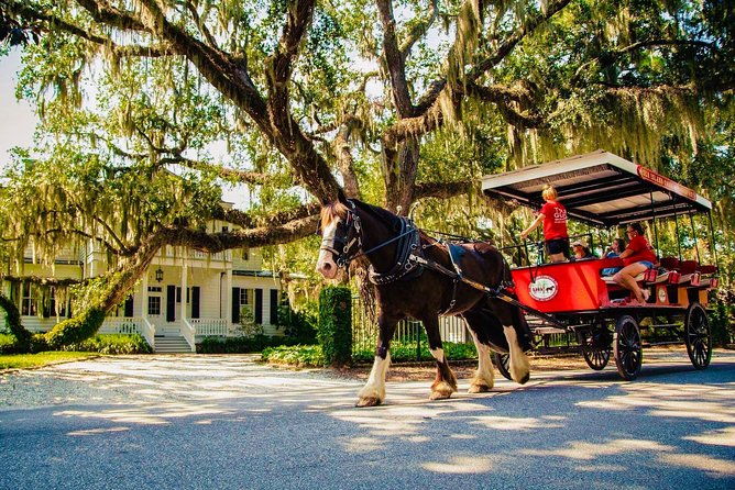 beauforts-1-horse-carriage-history-tour