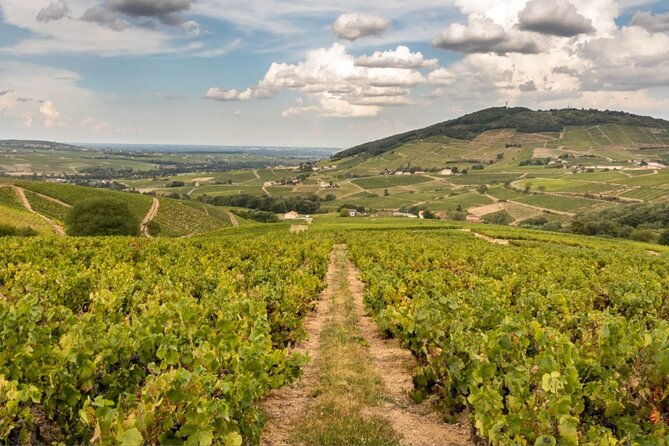 beaujolais-100-wine-tour-small-group-tour-with-tasting-from-lyon