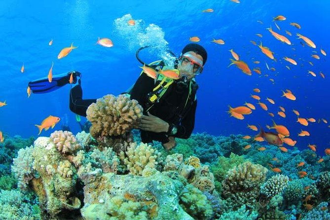 beginners-scuba-diving-experience-in-gran-canaria