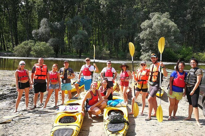 belgrade-war-island-kayak-tour