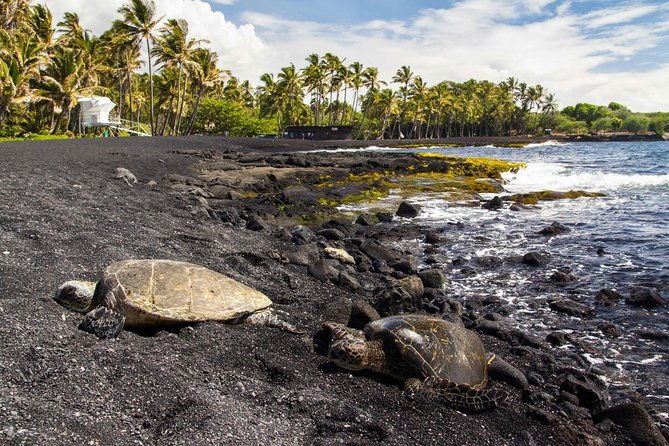 big-island-highlights-coffee-volcano-black-sands-waterfall