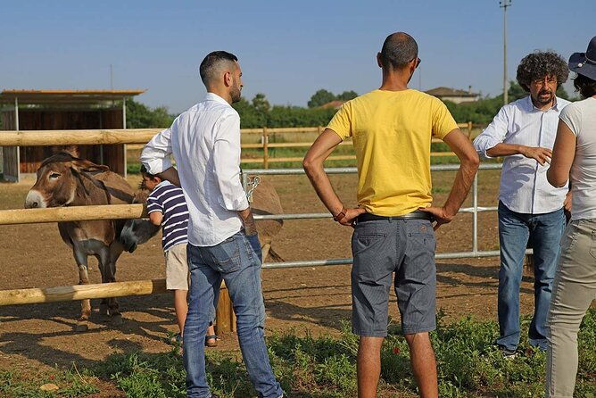 biodynamic-farm-and-natural-wines-tasting-in-lazise