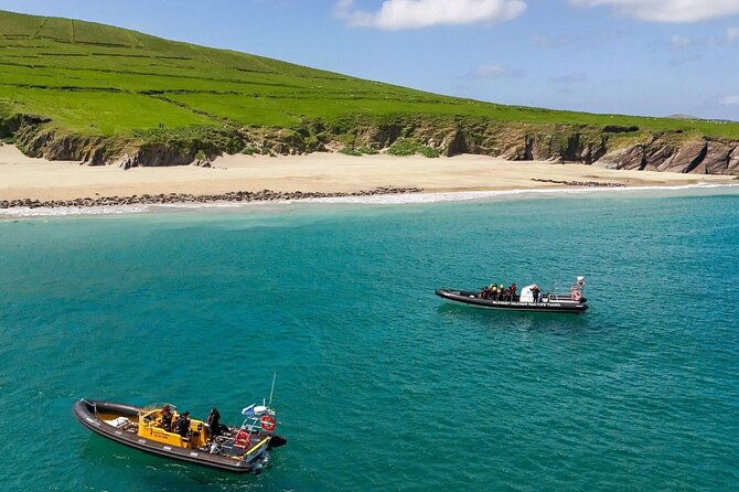 blasket-island-sea-life-rib-tour