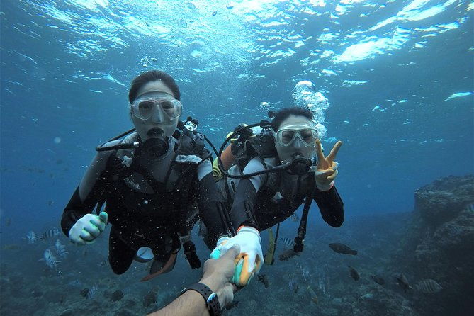 blue-cave-area-experience-divingfree-feeding-photo-imagesenglish-and-chinese-speaking-guide-available1-group-with-a-dedicated-instructor