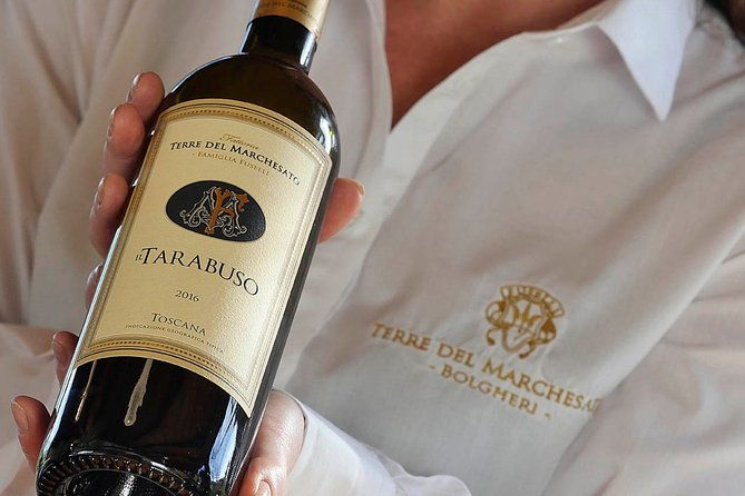 bolgheri-classic-wine-tasting-with-winery-tour