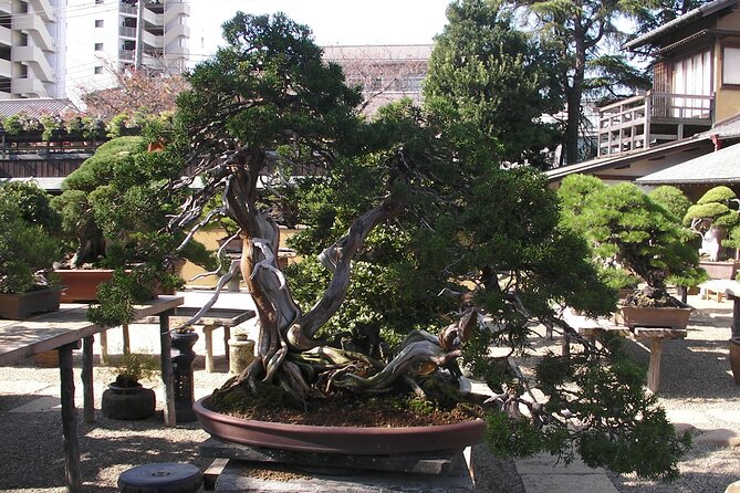 bonsai-and-washi-museum-visit-in-tokyo