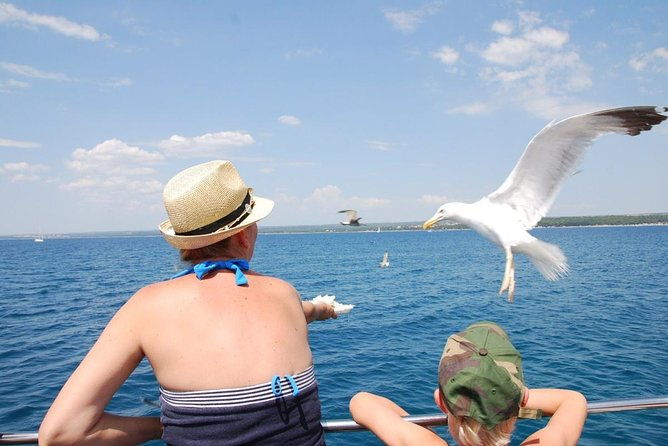 brijuni-national-park-boat-excursion-from-pula-with-a-visit-to-the-island