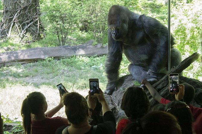 bronx-zoo-admission-ticket