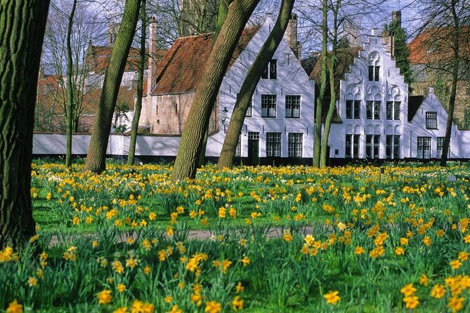 bruges-by-bike-with-friends-and-family