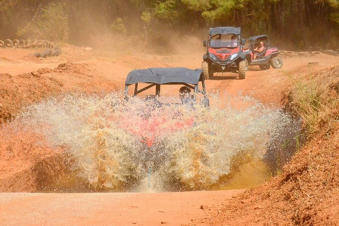 buggy-safari