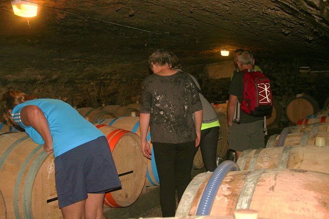 burgundy-bike-tour-with-wine-tasting-from-beaune