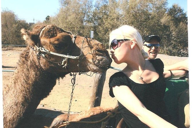 camel-safari-through-the-dunes-of-maspalomas