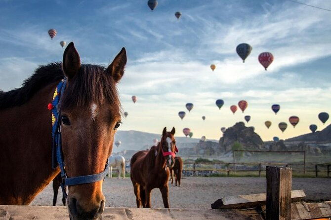 cappadocia-horse-riding-experience-sunrise-sunset-daytime