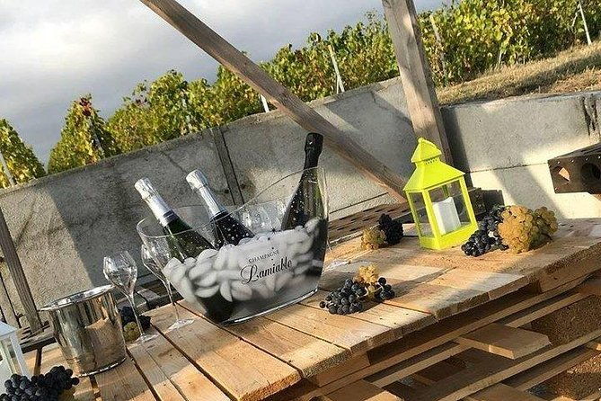 champagne-lamiable-stroll-and-taste-in-the-grand-cru-champagne-vineyard