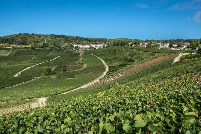 champagne-lover-touramazing-experiencewith-champagne-sabering