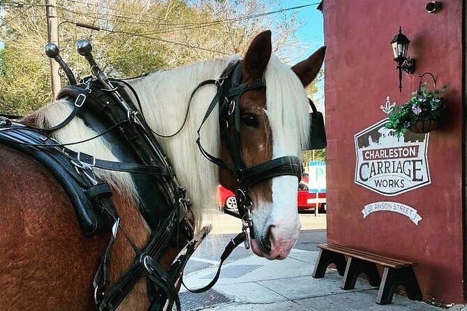charlestons-historic-residential-horse-and-carriage-tour