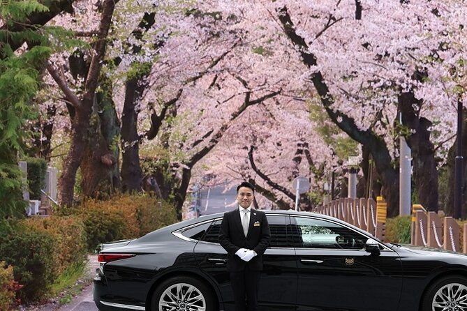 cherry-blossom-private-tour
