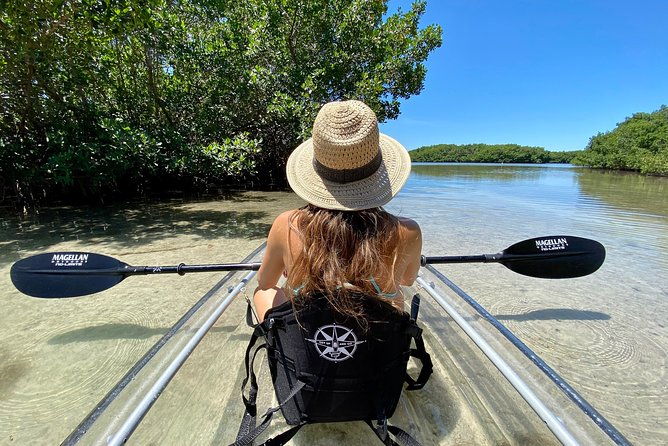 clear-kayak-tour-of-shell-key-preserve-and-tampa-bay-area