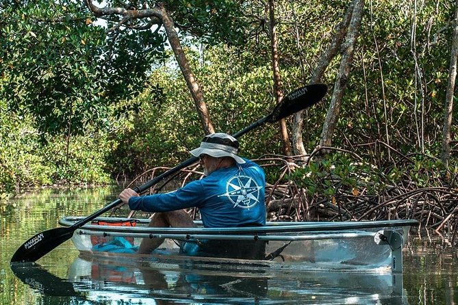 clear-kayak-tours-in-fort-pierce