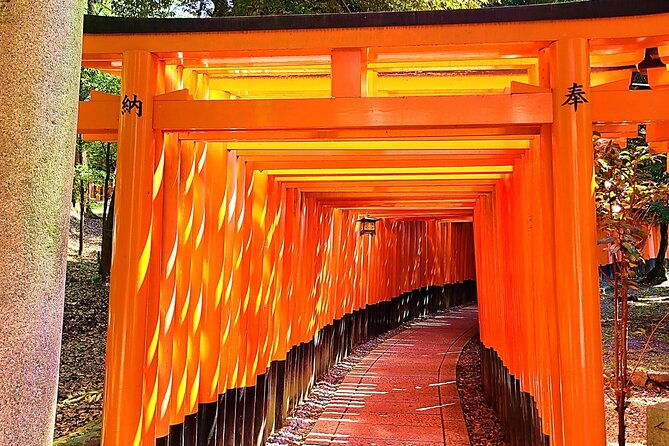 complete-kyoto-tour-explore-10-must-see-sights-and-hidden-gems